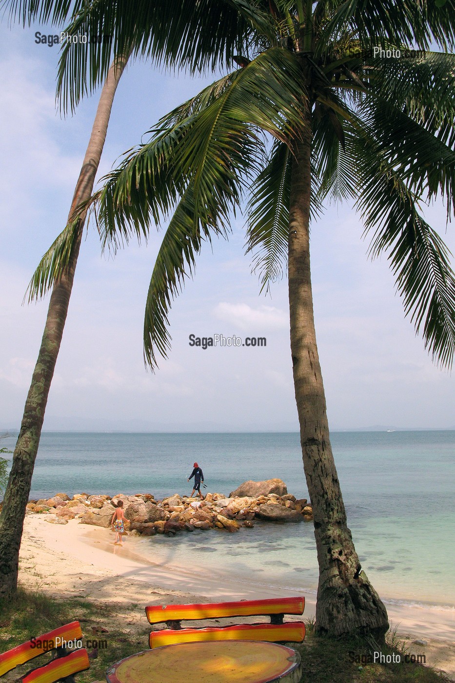 PALMIER ET PLAGE DE L'ILE DE KHO THALU, PROVINCE DE BANG SAPHAN, THAILANDE 