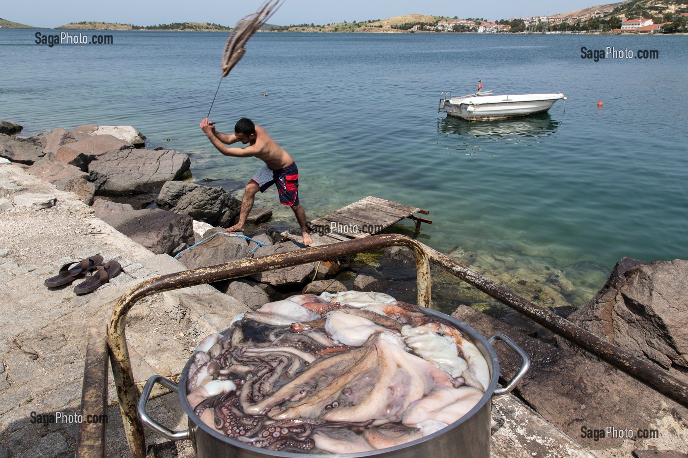 PECHEUR DE RETOUR DE LA PECHE EN TRAIN DE BATTRE DES POULPES, SORTE DE PIEUVRE, PORT DE FOCA SUR LA MER EGEE, RIVIERA DES OLIVIERS, NORD D’IZMIR, TURQUIE 