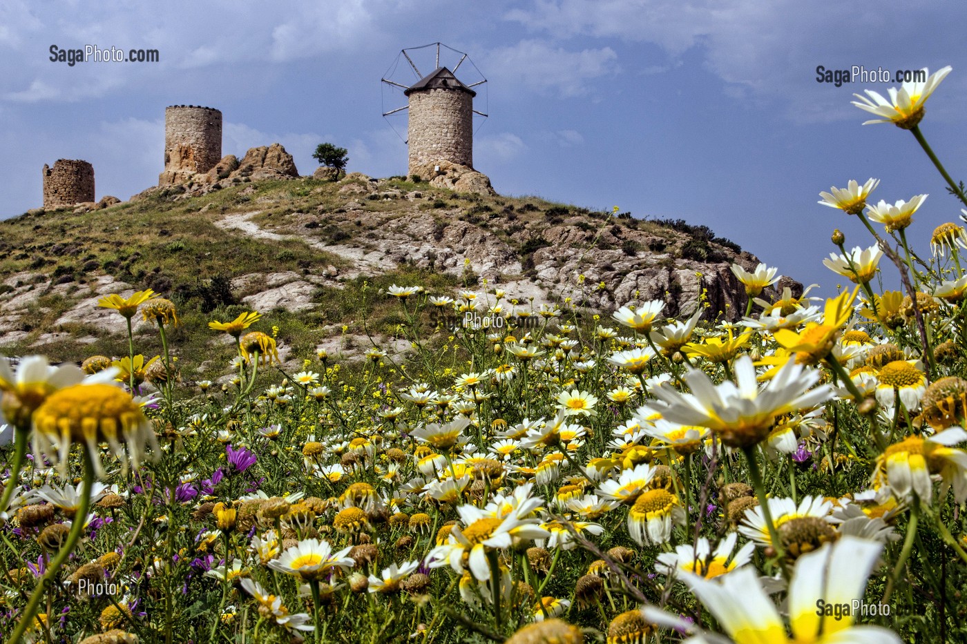 LES VIEUX MOULINS A VENT SUR LA COLLINE DU VILLAGE DE PECHEURS DE FOCA SUR LA MER EGEE, RIVIERA DES OLIVIERS, NORD D’IZMIR, TURQUIE 