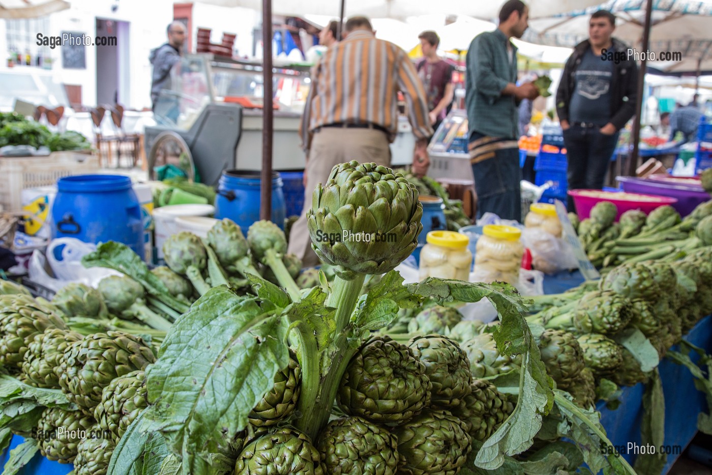 ETALAGE DE LEGUMES (ARTICHAUTS), MARCHE ALIMENTAIRE DE NAMIK KEMAL, CUNDA ALIBEY, RIVIERA DES OLIVIERS, NORD D’IZMIR, TURQUIE 