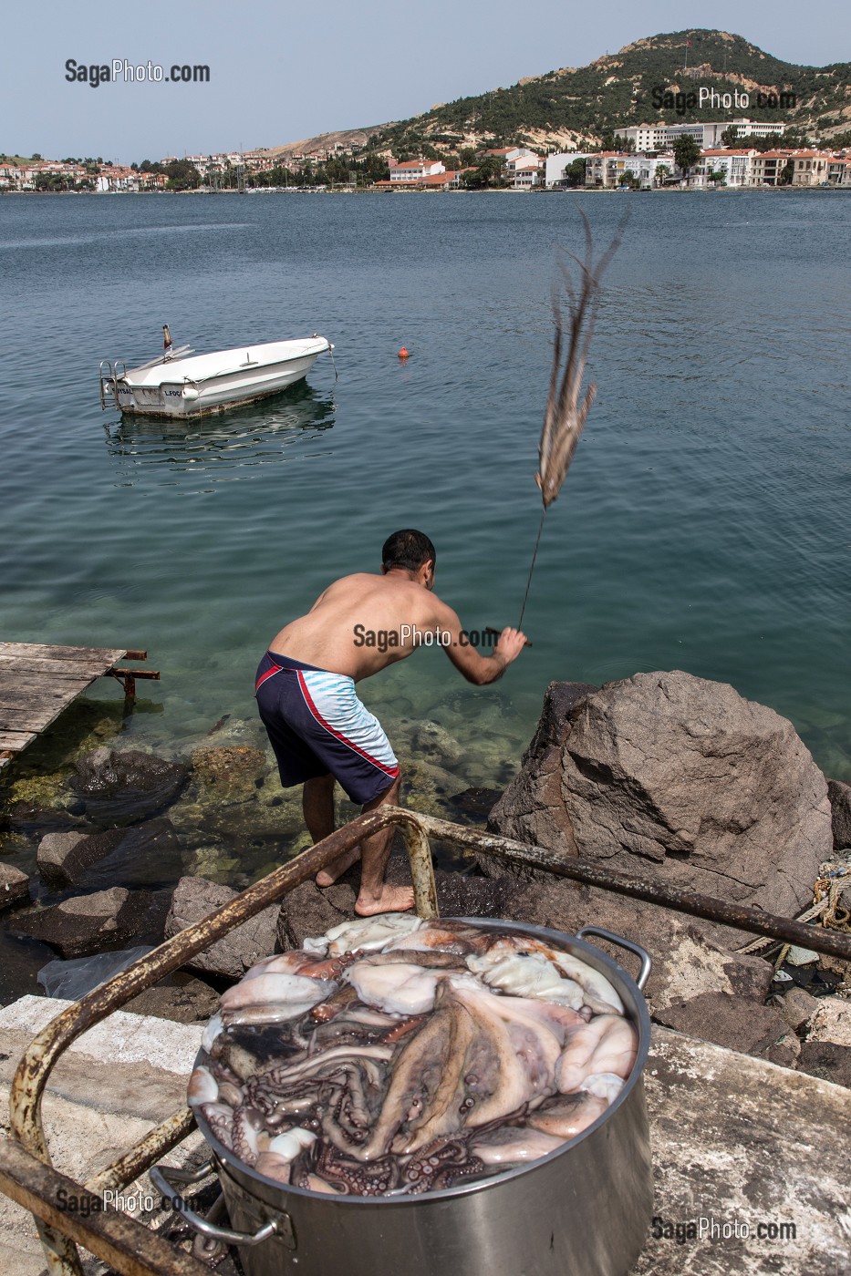 PECHEUR DE RETOUR DE LA PECHE EN TRAIN DE BATTRE DES POULPES, SORTE DE PIEUVRE, PORT DE FOCA SUR LA MER EGEE,  RIVIERA DES OLIVIERS, NORD D’IZMIR, TURQUIE 