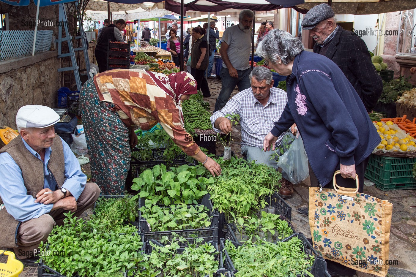 VENDEURS ET CLIENTS DEVANT UN ETALAGE D'HERBES AROMATIQUES, MARCHE ALIMENTAIRE DE NAMIK KEMAL, CUNDA ALIBEY, RIVIERA DES OLIVIERS, NORD D’IZMIR, TURQUIE 