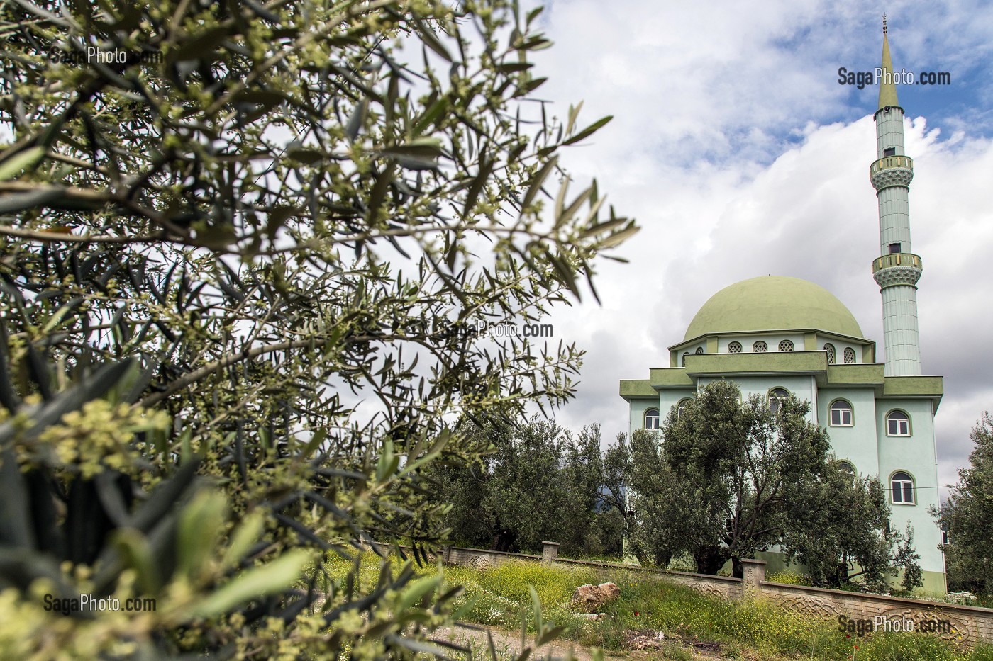 MOSQUEE VERT OLIVE DU VILLAGE DE ZEYTINLI VEUT DIRE OLIVIER EN TURC, RIVIERA DES OLIVIERS, NORD D’IZMIR, TURQUIE 