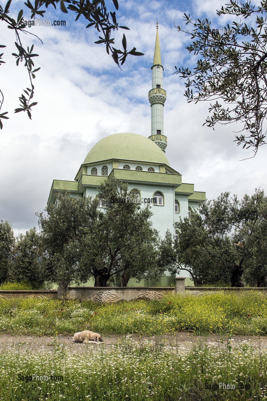 MOSQUEE VERT OLIVE DU VILLAGE DE ZEYTINLI VEUT DIRE OLIVIER EN TURC, RIVIERA DES OLIVIERS, NORD D’IZMIR, TURQUIE 