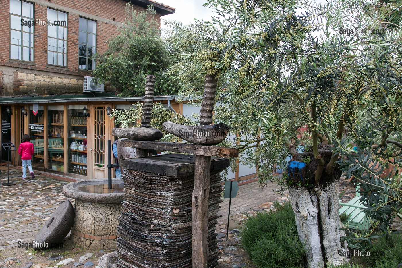 ANCIEN PRESSOIR DEVANT LA FABRIQUE, MUSEE DE L'HUILE D'OLIVE D'ADATEPE, RIVIERA DES OLIVIERS, NORD D’IZMIR, TURQUIE 