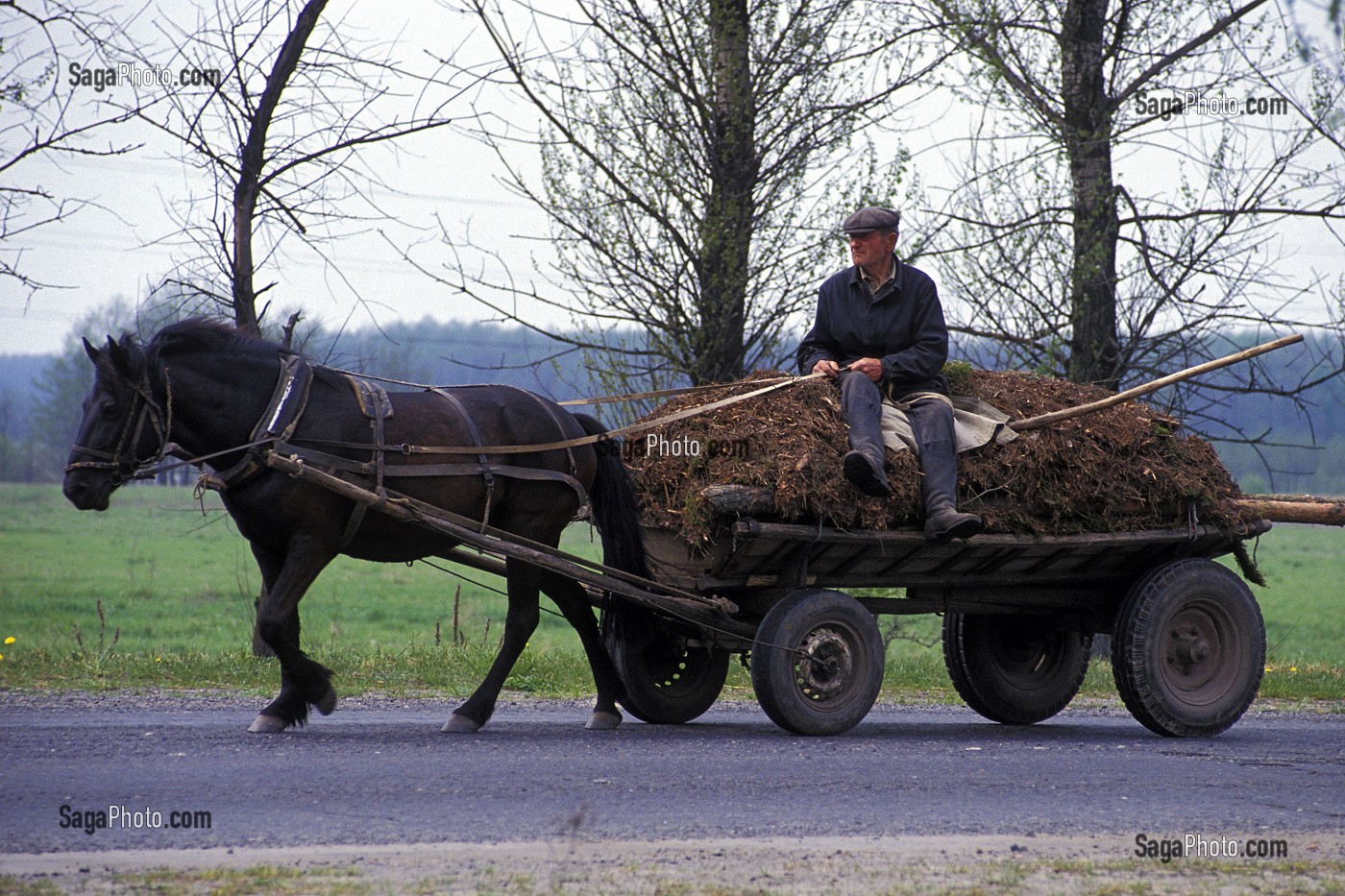 AGRICULTEUR AVEC SON ATTELAGE, ORANE, VILLAGE A PROXIMITE DE LA ZONE INTERDITE, UKRAINE 