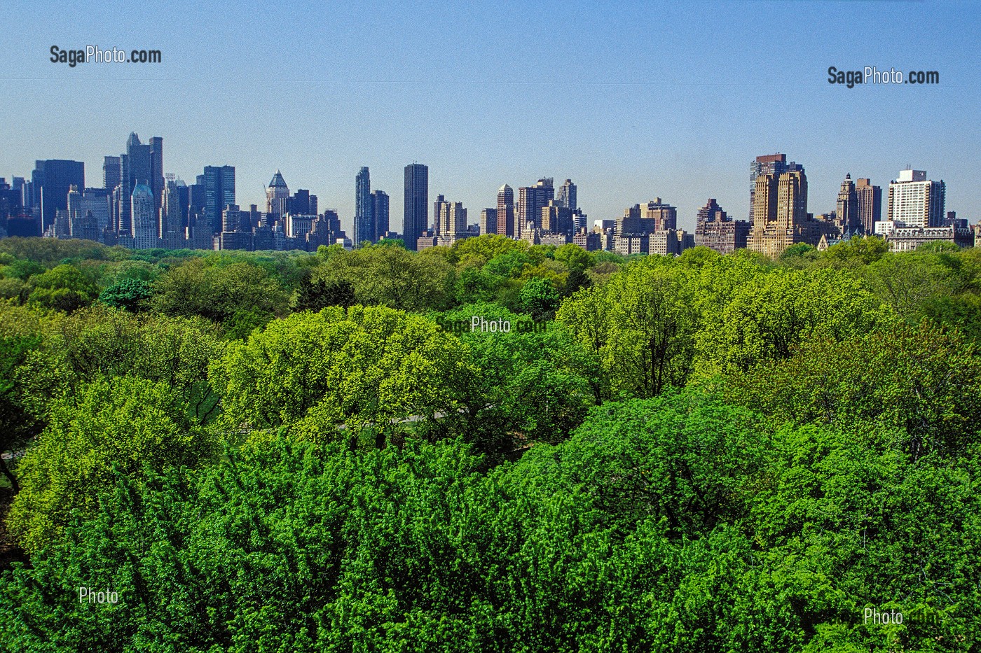 LES ARBRES DE CENTRAL PARK DEVANT LES IMMEUBLES DE MANHATTAN, NEW YORK, USA 