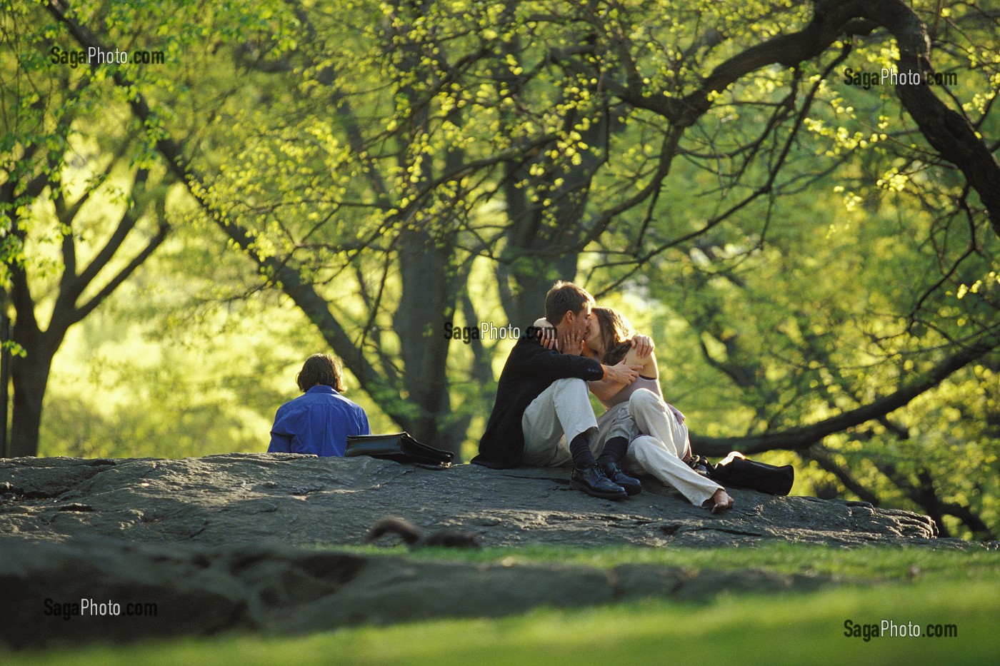 COUPLE D'AMOUREUX SUR LES ARBRES DE CENTRAL PARK, MANHATTAN, NEW YORK, USA 