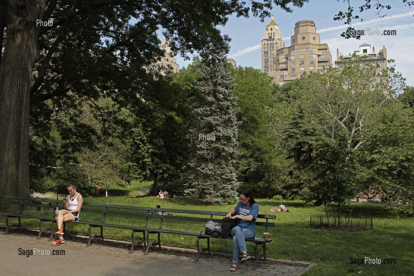 CENTRAL PARK, ESPACE VERT SITUE DANS LE QUARTIER DE MANHATTAN, NEW YORK, ETAT DE NEW YORK, ETATS-UNIS 