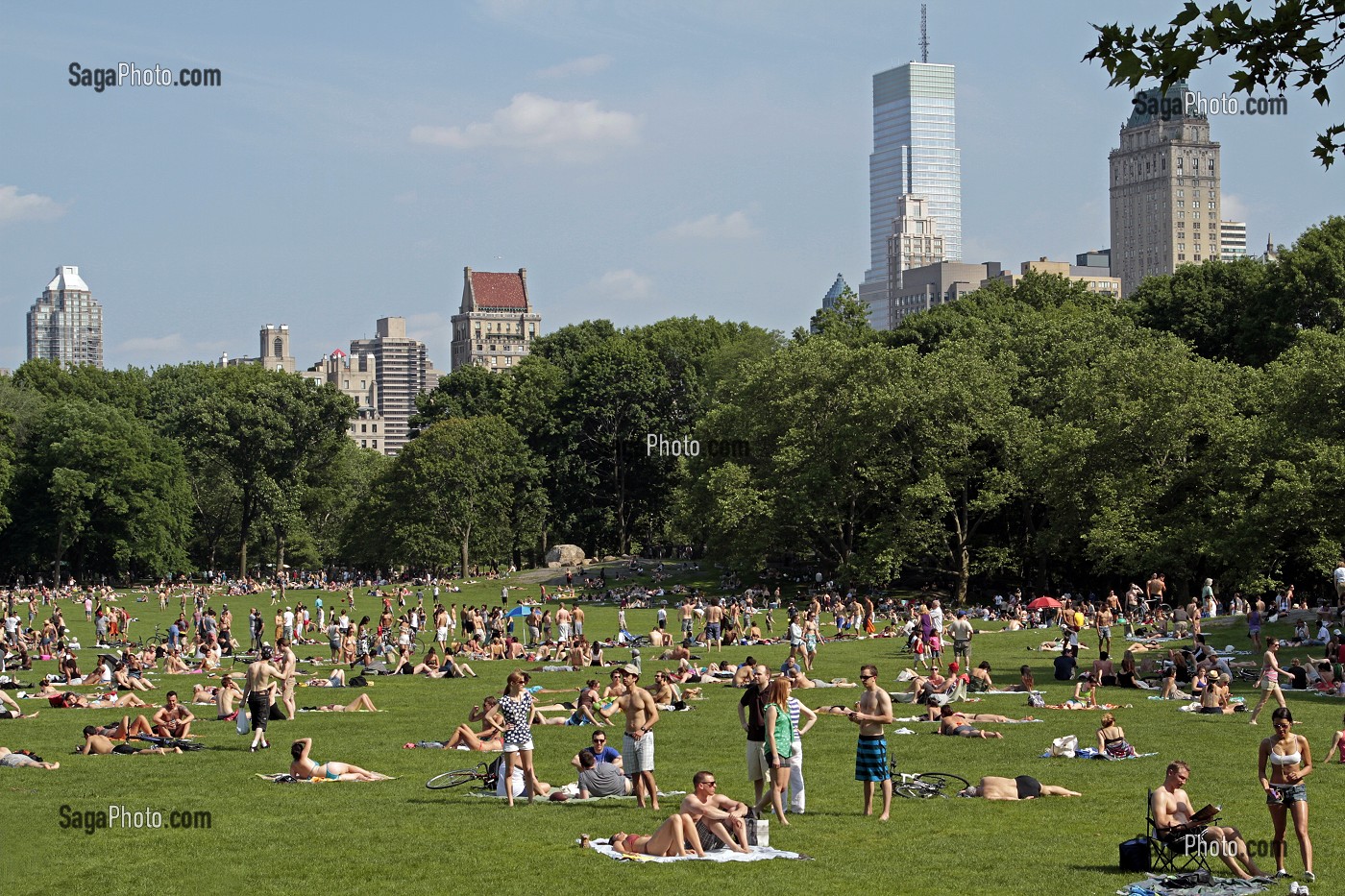 PELOUSES DE CENTRAL PARK, ESPACE VERT SITUE DANS LE QUARTIER DE MANHATTAN, NEW YORK, ETAT DE NEW YORK, ETATS-UNIS 