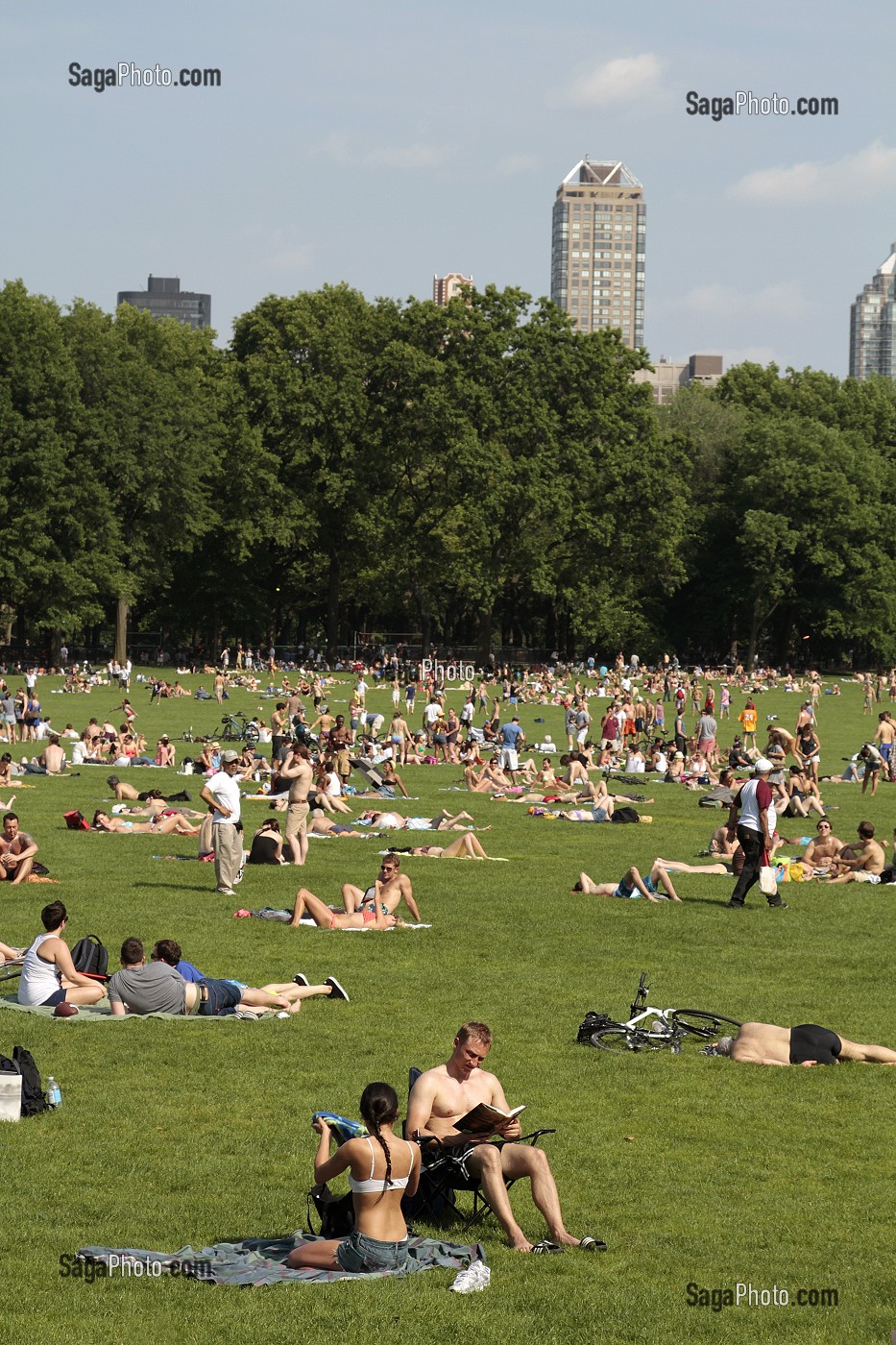 PELOUSES DE CENTRAL PARK, ESPACE VERT SITUE DANS LE QUARTIER DE MANHATTAN, NEW YORK, ETAT DE NEW YORK, ETATS-UNIS 