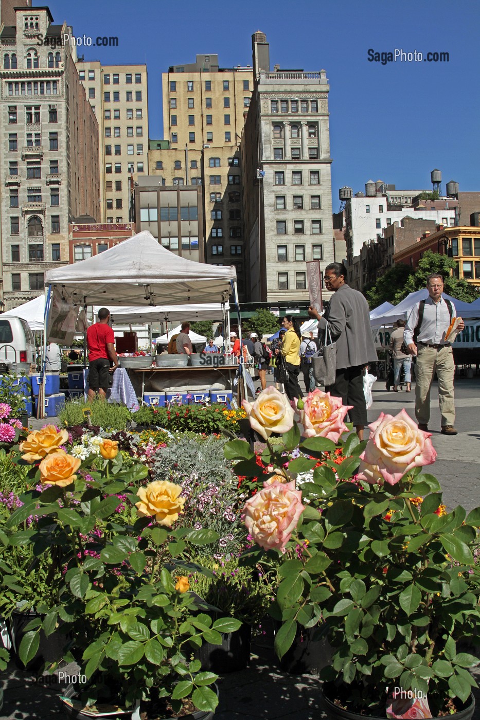 MARCHE BIO, UNION SQUARE, MANHATTAN, NEW YORK CITY, ETAT DE NEW YORK, ETATS-UNIS 