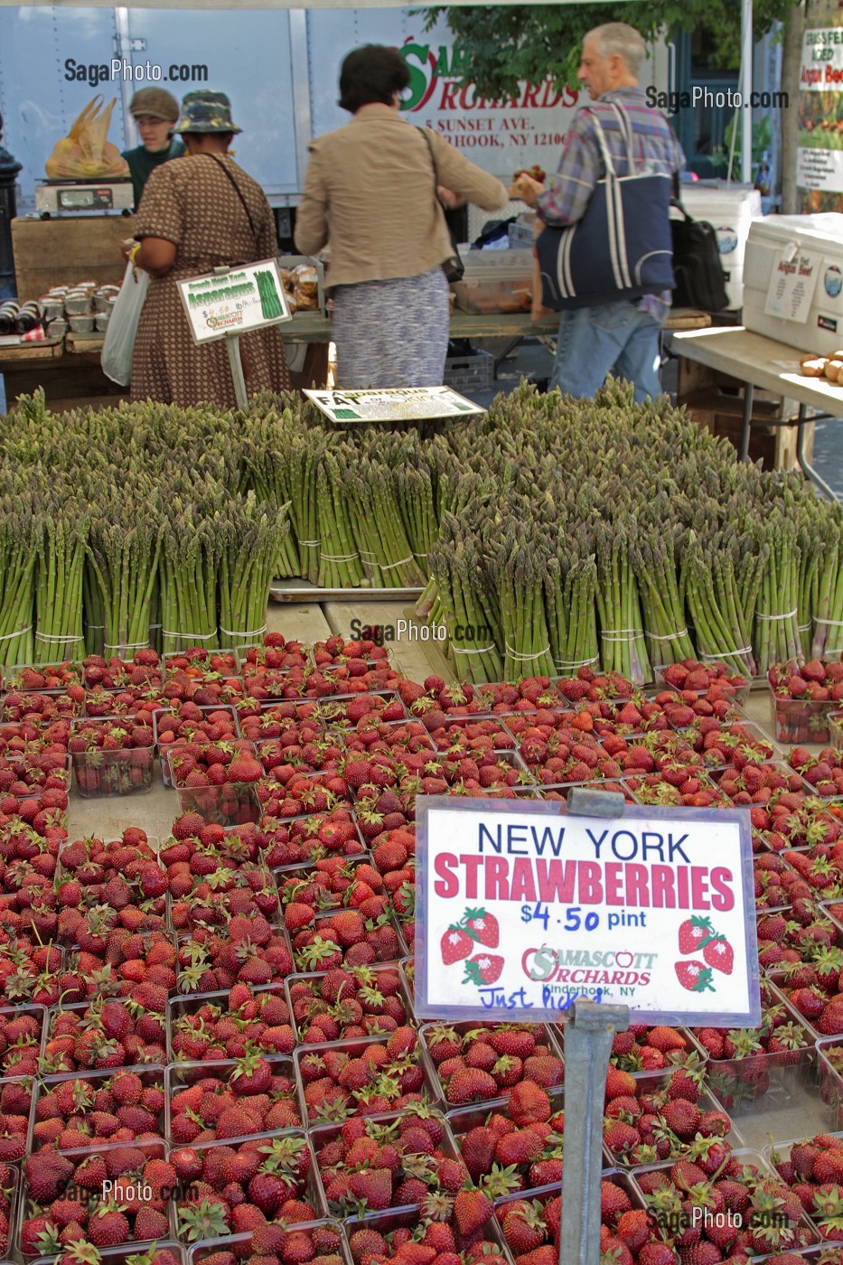 VENTE DE FRAISES AU MARCHE BIO, UNION SQUARE, MANHATTAN, NEW YORK CITY, ETAT DE NEW YORK, ETATS-UNIS 