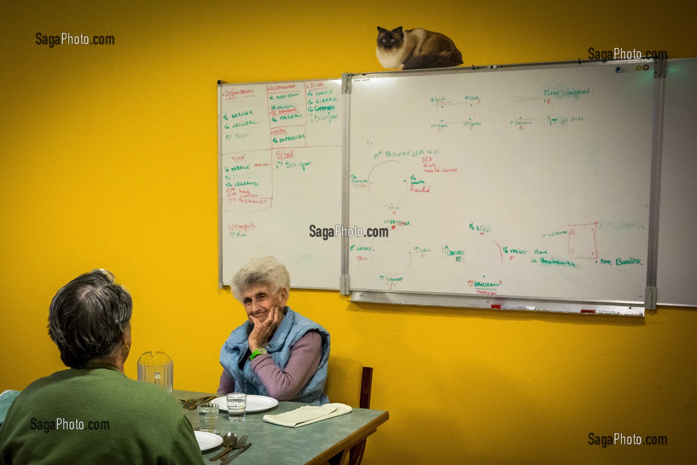 ILLUSTRATION MAISON DE RETRAITE, PERSONNE AGEE PRENANT SON REPAS DANS LA SALLE A MANGER EN COMPAGNIE D'UN PENSIONNAIRE 
