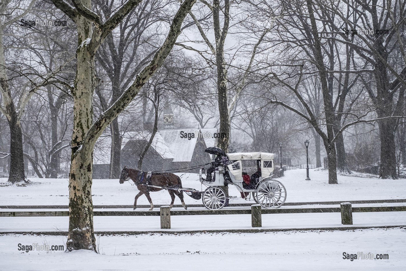 CALECHE DANS CENTRAL PARK UN JOUR DE NEIGE, MANHATTAN, NEW-YORK, ETATS-UNIS, USA 