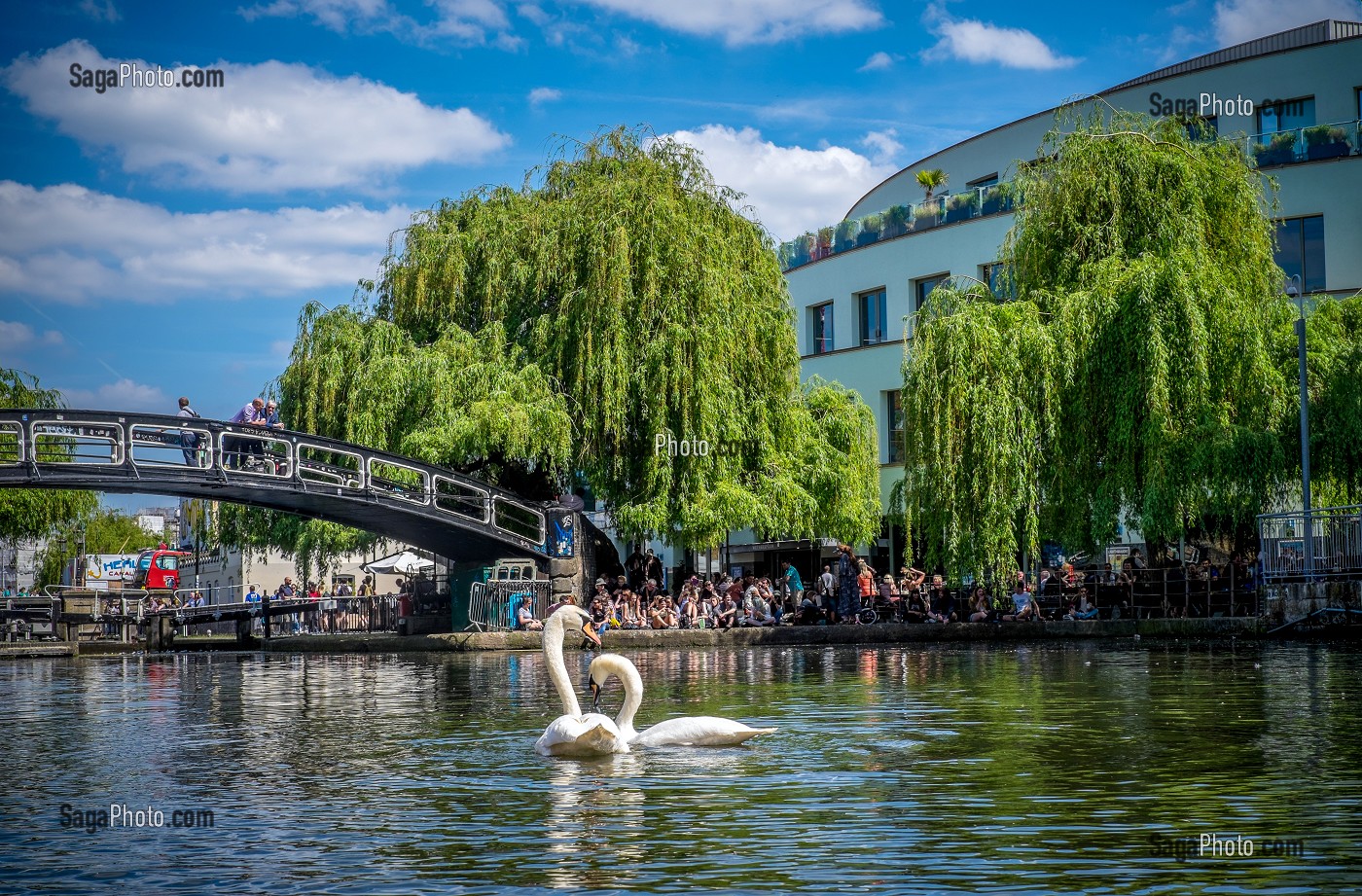 CYGNES ET PONT AU DESSUS DU REGENT'S CANAL, LONDRES, GRANDE-BRETAGNE, EUROPE 