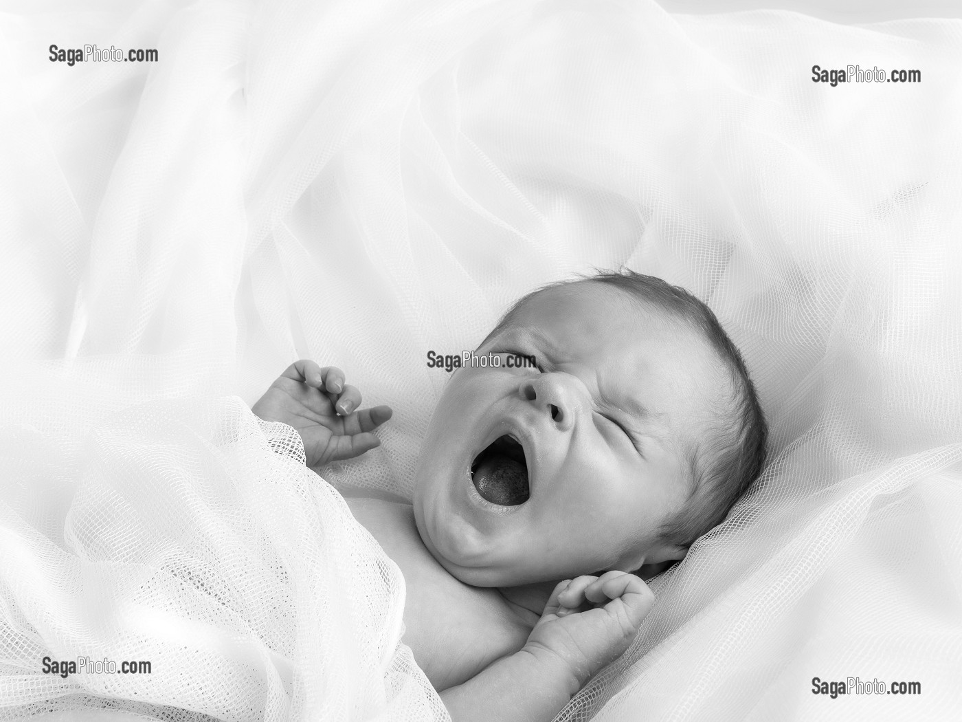 BAILLEMENT DU BEBE, NOUVEAU-NE DANS SON COUFFIN, PORTRAIT EN STUDIO 