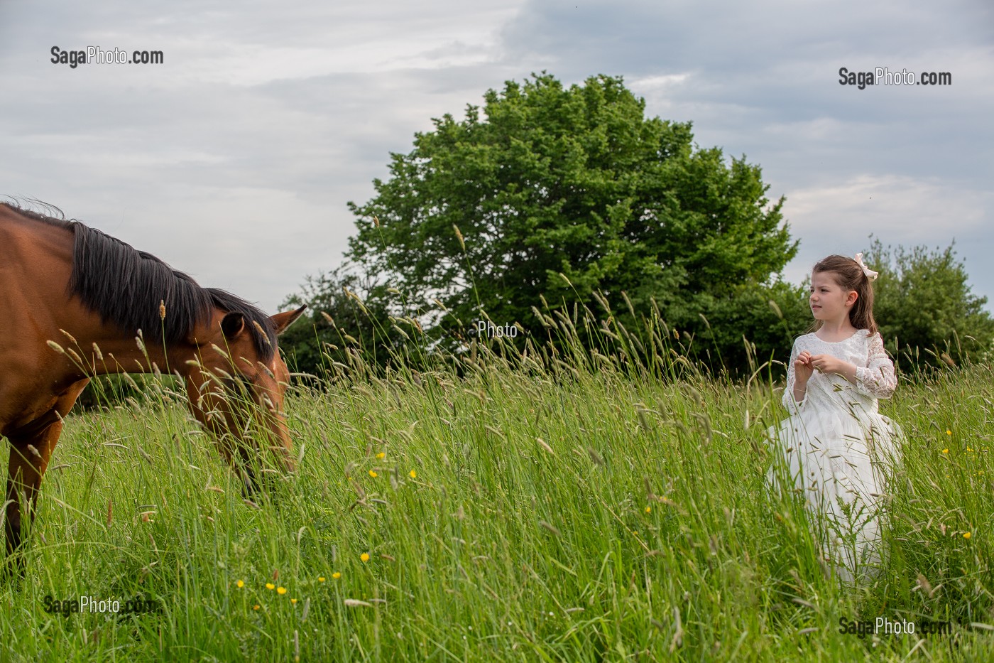 COMPLICITE ENTRE UNE ENFANT ET UN POULAIN, RUGLES, NORMANDIE 