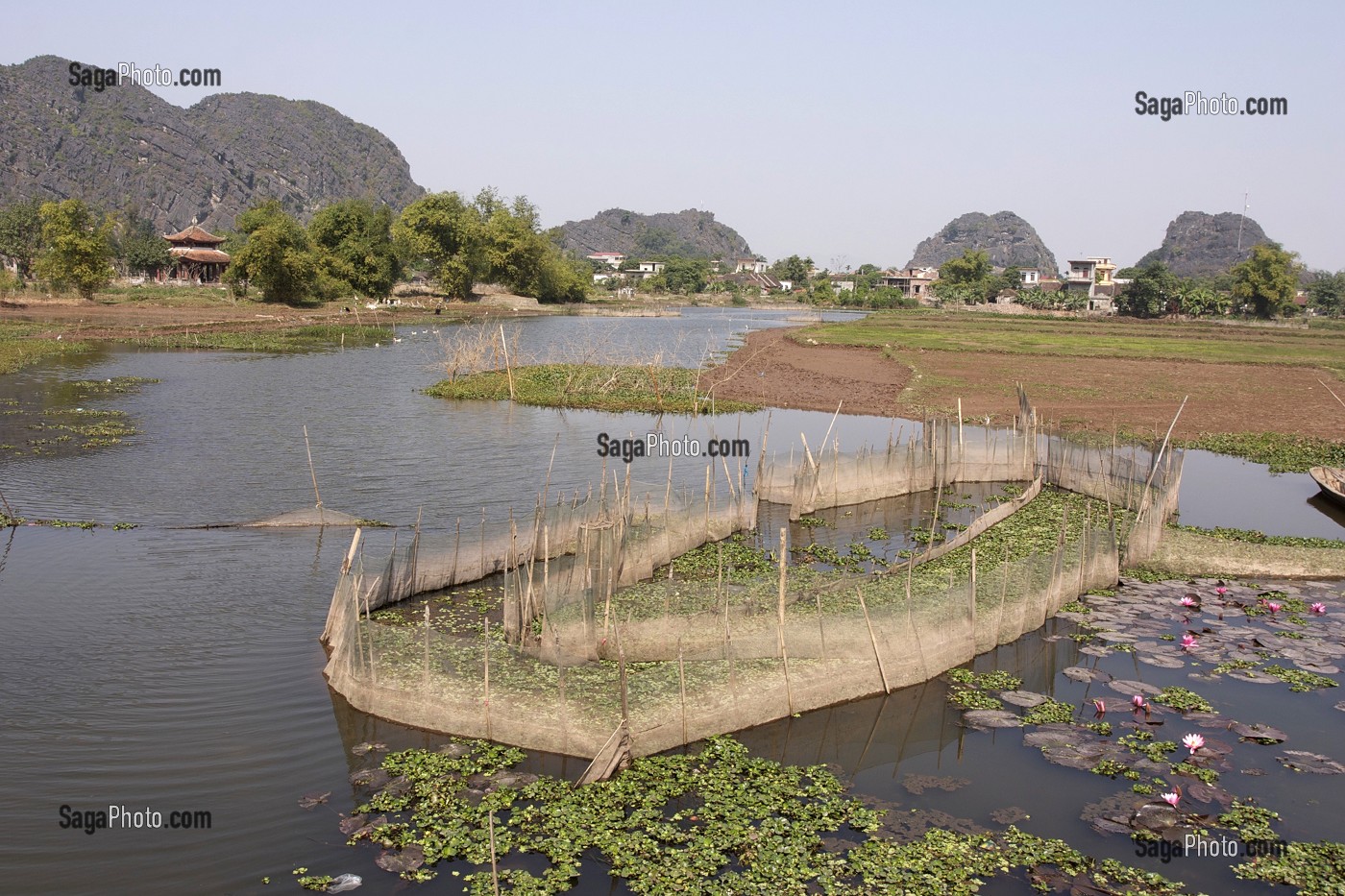 RIZIERE DANS LE NORD DU VIETNAM, VIETNAM 