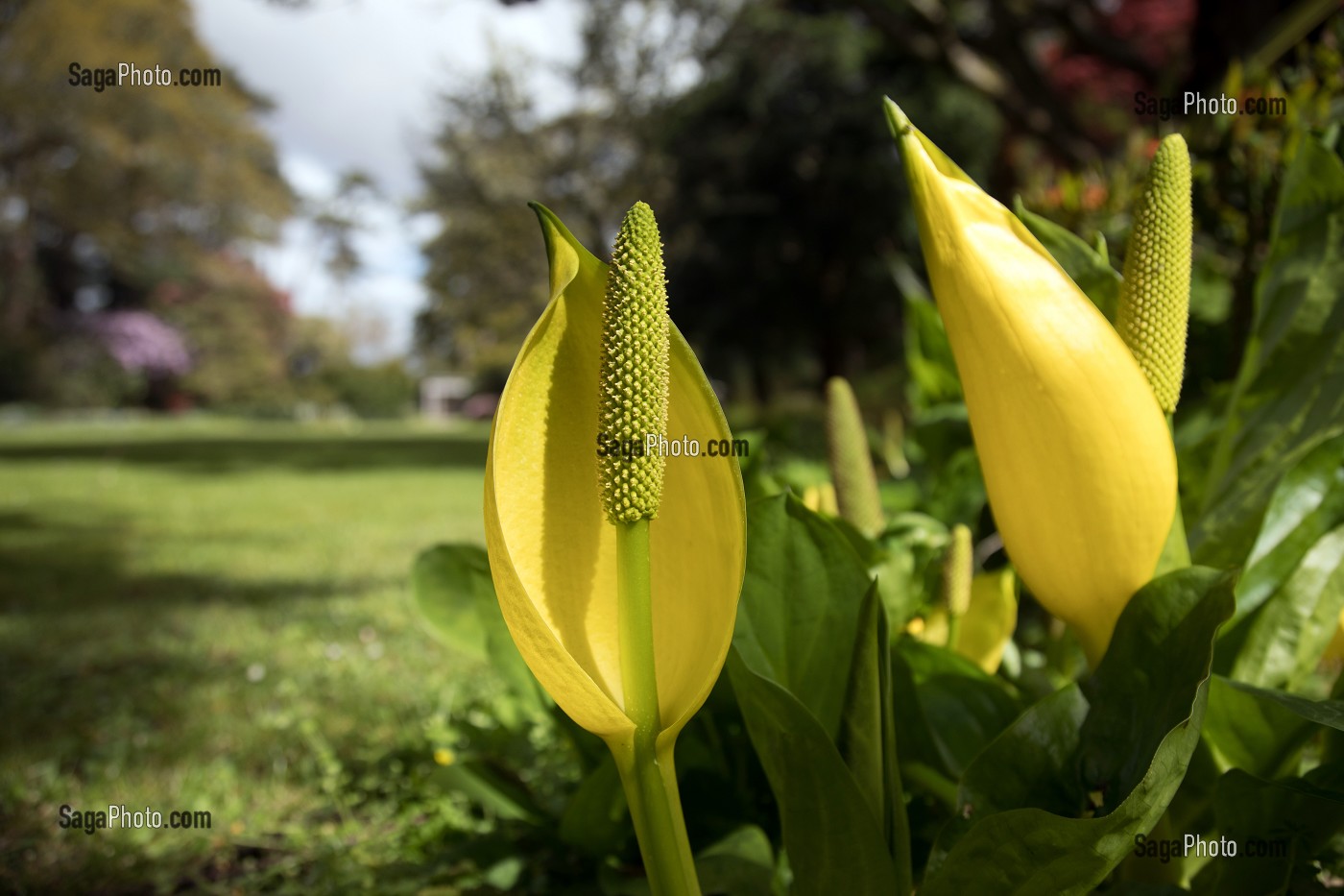  THE CASTLE'S GARDEN, GLENVEAGH NATIONAL PARK, COUNTY DONEGAL, IRELAND