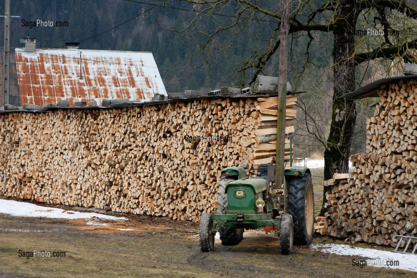 photo de LE BOIS DE CHAUFFAGE EN HAUTE-SAVOIE (74), RHONE-ALPES, FRANCE