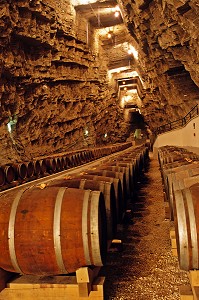 TERROIR DE SIGEAN, TERRA VINEA, PORTEL, REGION DES VINS DE CORBIERES, AUDE (11), FRANCE 