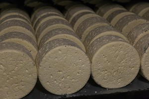 CAVE D'AFFINAGE DU FROMAGE ROQUEFORT, CAVE SOCIETE, GROUPE LACTALIS, (12) AVEYRON, MIDI-PYRENEES, FRANCE 