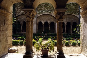 CLOITRE DE VAN GOGH, ST REMY DE PROVENCE, BOUCHES-DU-RHONE (13), FRANCE 