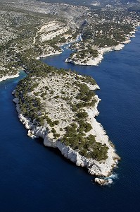 VUE AERIENNE DES CALANQUES DE PORT PIN (PREMIER PLAN) ET DE PORT-MIOU (AU FOND), CASSIS, BOUCHES-DU-RHONE (13), FRANCE 