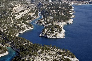 VUE AERIENNE DES CALANQUES DE PORT PIN (PREMIER PLAN) ET DE PORT-MIOU (AU FOND), CASSIS, BOUCHES-DU-RHONE (13), FRANCE 