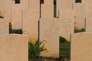 BAYEUX EST LE PLUS GRAND CIMETIERE BRITANNIQUE DE LA SECONDE GUERRE MONDIALE AVEC 4 648 TOMBES, SITE DU DEBARQUEMENT EN NORMANDIE DU 6 JUIN 1944, CALVADOS (14), NORMANDIE, FRANCE 