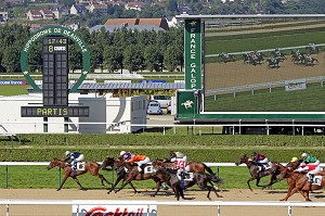 CHAMP DE COURSES, HIPPODROME DE DEAUVILLE - LA TOUQUES, DEAUVILLE, CALVADOS (14), NORMANDIE, FRANCE 