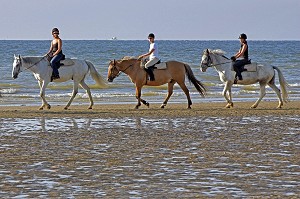 BALADE A CHEVAL SUR LA PLAGE, CENTRE EQUESTRE, ECOLE D'EQUITATION DES LAIS DE MER, DEAUVILLE, CALVADOS (14), NORMANDIE, FRANCE 