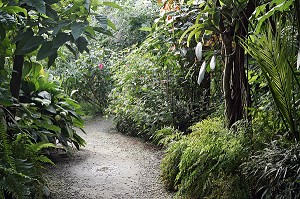 SERRE TROPICALE AUX PAPILLONS, NATUROSPACE, HONFLEUR, CALVADOS (14), NORMANDIE, FRANCE 