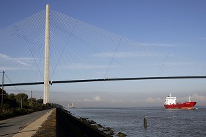 CARGO PORTE CONTENEUR SOUS LE PONT DE NORMANDIE QUI ENJAMBE LA SEINE ENTRE HONFLEUR ET LE HAVRE, PONT A HAUBANS DE 2143 METRES DONT 856 ENTRE LE PYLONES, CALVADOS (14), NORMANDIE, FRANCE 