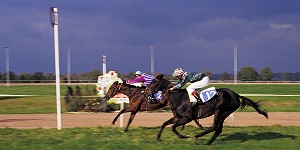 POTEAU D'ARRIVEE, COURSE DE GALOP SUR L'HIPPODROME DE LISIEUX, CALVADOS (14), NORMANDIE, FRANCE 