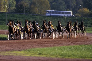 COURSE DE TROT SUR L'HIPPODROME DE CAEN, CALVADOS (14), NORMANDIE, FRANCE 