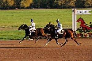 POTEAU D'ARRIVEE, COURSE DE CHEVAUX A L'HIPPODROME DE CAEN, CALVADOS (14), NORMANDIE, FRANCE 