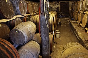 TONNEAUX A CALVADOS, CAVE DU MANOIR DE GRANDOUET, CAMBREMER, ROUTE DU CIDRE, CALVADOS (14), BASSE NORMANDIE, FRANCE 