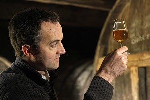 STEPHANE GRANDVAL, PRODUCTEUR DE CIDRE AU  MANOIR DE GRANDOUET, CAMBREMER, ROUTE DU CIDRE, CALVADOS (14), BASSE NORMANDIE, FRANCE 