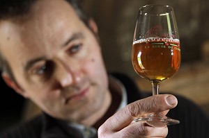 STEPHANE GRANDVAL, PRODUCTEUR DE CIDRE AU  MANOIR DE GRANDOUET, CAMBREMER, ROUTE DU CIDRE, CALVADOS (14), BASSE NORMANDIE, FRANCE 