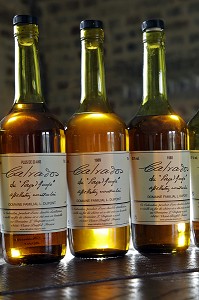 BOUTEILLES DE CALVADOS DU DOMAINE FAMILIAL LOUIS DUPONT, VILLAGE DE VICTOT-PONTFOL, ROUTE DU CIDRE, CALVADOS (14), FRANCE 