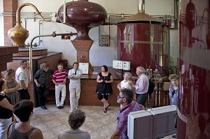 TOURISME VINICOLE. VISITE DE GROUPE DANS LA DISTILLERIE DE CALVADOS, CHATEAU DE BREUIL-EN-AUGE, ROUTE DU CIDRE, CALVADOS (14), FRANCE 