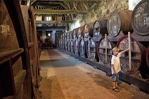 CAVE DE VIEILLISSEMENT DU CALVADOS, CHATEAU DE BREUIL-EN-AUGE, ROUTE DU CIDRE, CALVADOS (14), FRANCE 