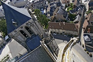 GARGOUILLE, VUE DE LA GRANDE TOUR, CATHEDRALE, BOURGES, CHER (18), FRANCE 