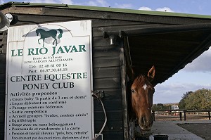 CENTRE EQUESTRE, RIO JAVAR, FARGES-ALLICHAMPS, CHER (18), FRANCE 