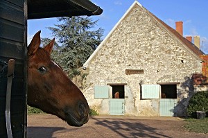CENTRE EQUESTRE, RIO JAVAR, FARGES-ALLICHAMPS, CHER (18), FRANCE 