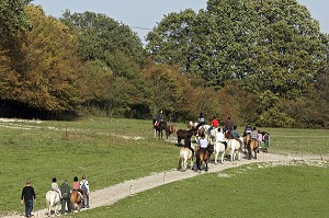 CENTRE EQUESTRE DE LA CAVALE,  VIERZON, CHER (18), FRANCE 