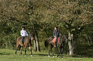 CENTRE EQUESTRE DE LA CAVALE,  VIERZON, CHER (18), FRANCE 
