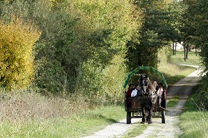 BALADE EN CALECHE, CENTRE EQUESTRE DE LA CAVALE,  VIERZON, CHER (18), FRANCE 